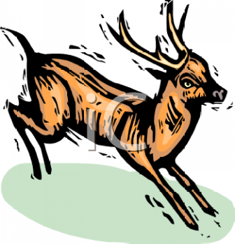 Deer Clipart