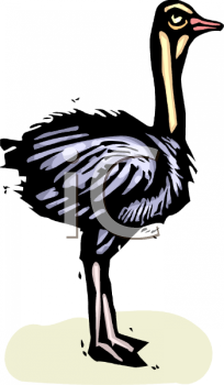 Bird Clipart