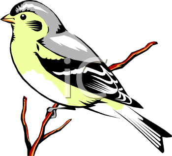 Nature and Scenic Clipart