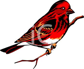 Nature and Scenic Clipart