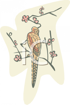 Bird Clipart