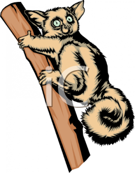 Primate Clipart