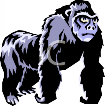 Primate Clipart