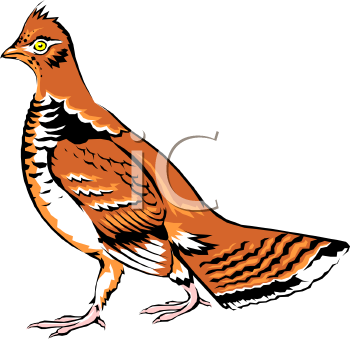 Nature and Scenic Clipart