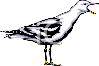Nature and Scenic Clipart