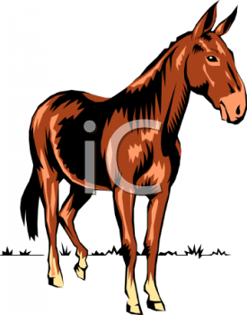 Horse Clipart