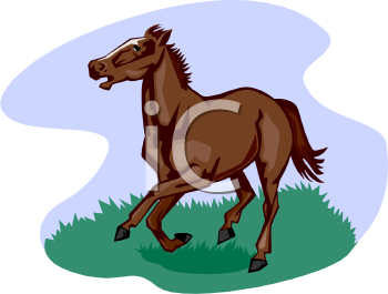 Horse Clipart
