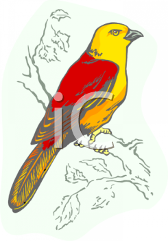 Nature and Scenic Clipart