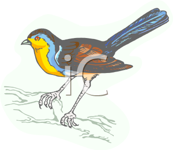 Nature and Scenic Clipart