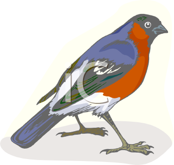 Nature and Scenic Clipart