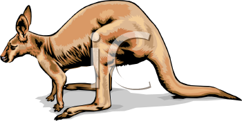 Marsupial Clipart