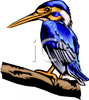 Nature and Scenic Clipart
