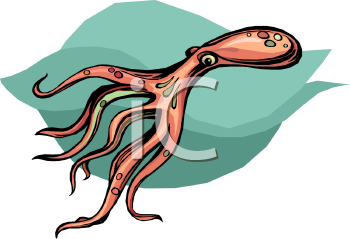 Mollusk Clipart