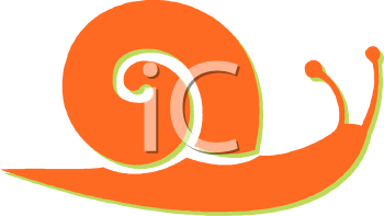 Mollusk Clipart