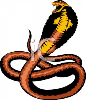 Lizard Clipart