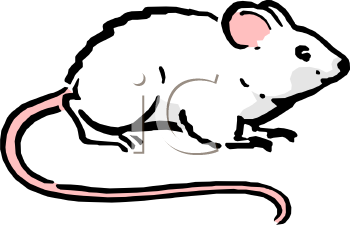 Rodent Clipart