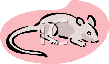 Cartoon Clipart