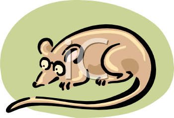 Rodent Clipart