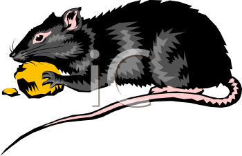 Rodent Clipart