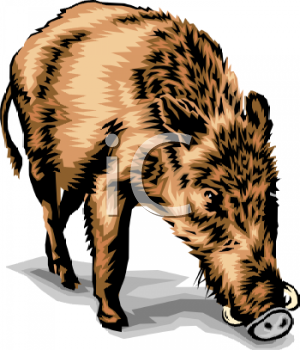 Nature and Scenic Clipart
