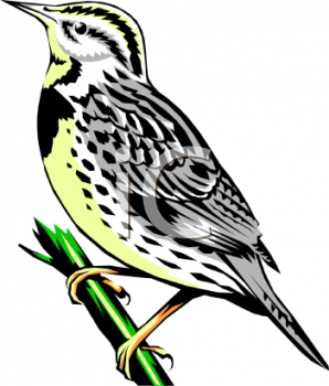 Nature and Scenic Clipart