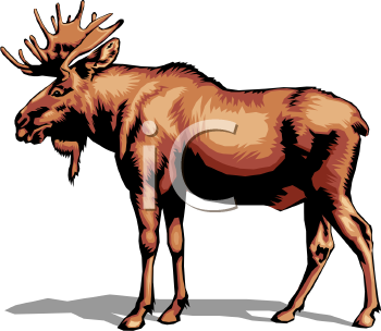 Nature and Scenic Clipart
