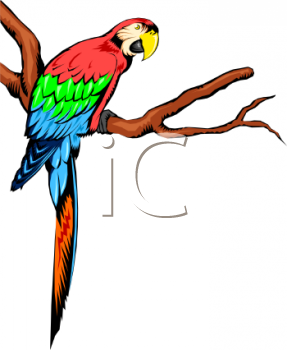 Nature and Scenic Clipart