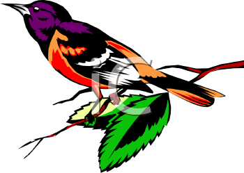 Nature and Scenic Clipart