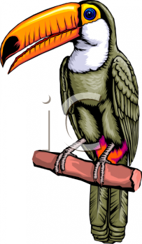 Nature and Scenic Clipart