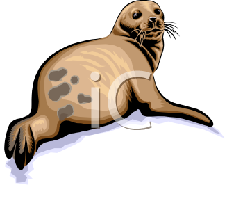 Nature and Scenic Clipart