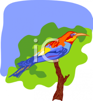 Nature and Scenic Clipart