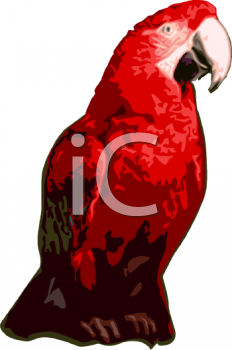 Nature and Scenic Clipart