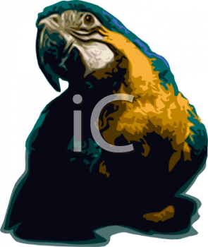 Bird Clipart