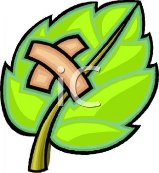 Nature and Scenic Clipart