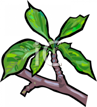 Nature and Scenic Clipart