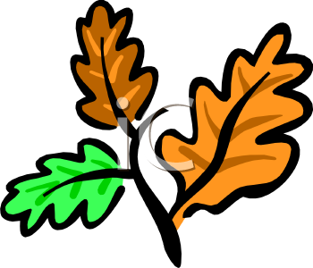 Thanksgiving Clipart
