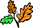 Thanksgiving Clipart