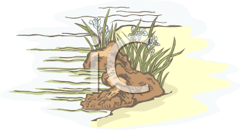 Nature and Scenic Clipart