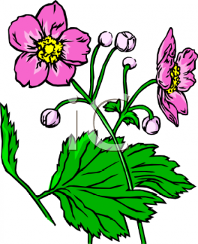 Nature and Scenic Clipart