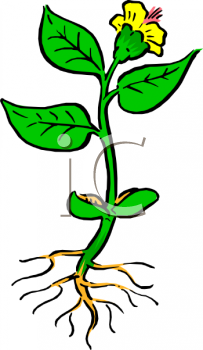 Nature and Scenic Clipart