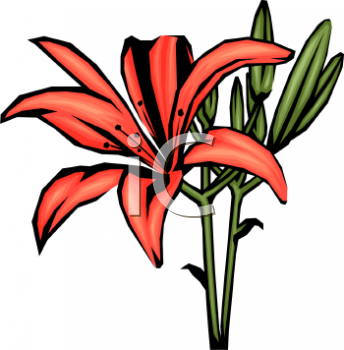 Nature and Scenic Clipart