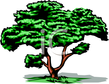 Nature and Scenic Clipart
