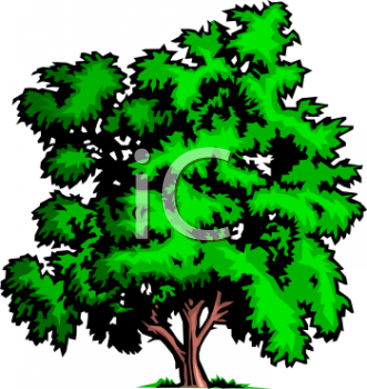 Nature and Scenic Clipart