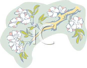 Nature and Scenic Clipart