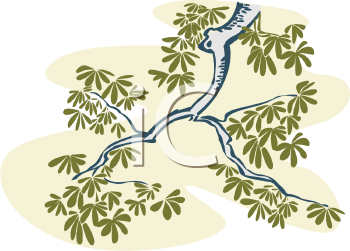 Grass and Tree Clipart