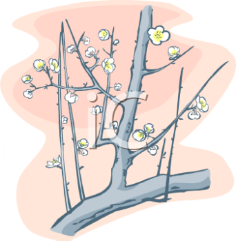Nature and Scenic Clipart