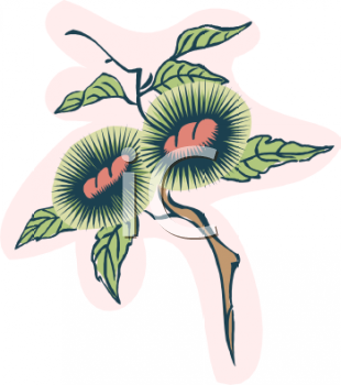 Nature and Scenic Clipart