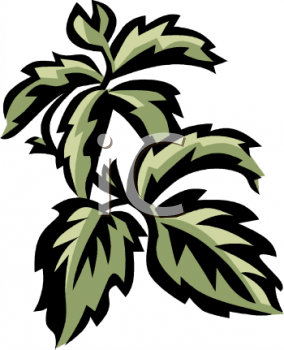 Nature and Scenic Clipart