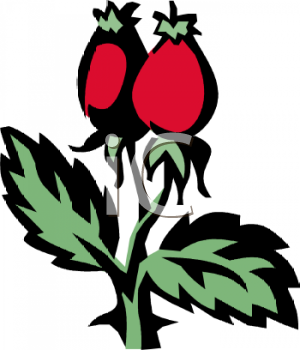 Nature and Scenic Clipart