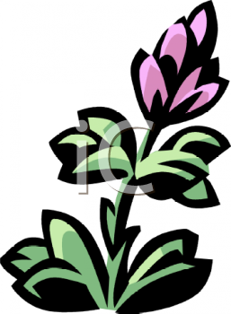 Nature and Scenic Clipart